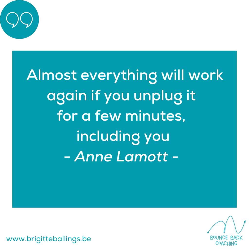 quote Anne Lamott voor een evenwichtig leven  